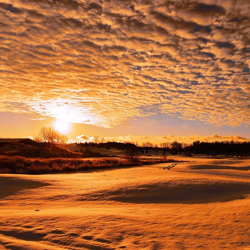 Hd-142118-ascw142118