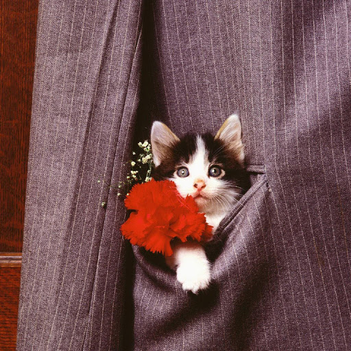 Hd-137869-ascw137869