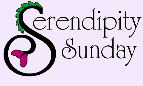 Serendipity_Logo