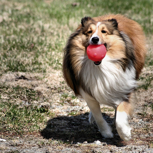 Hd-143535-ascw143535