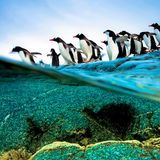 Hd-140425-ascw140425