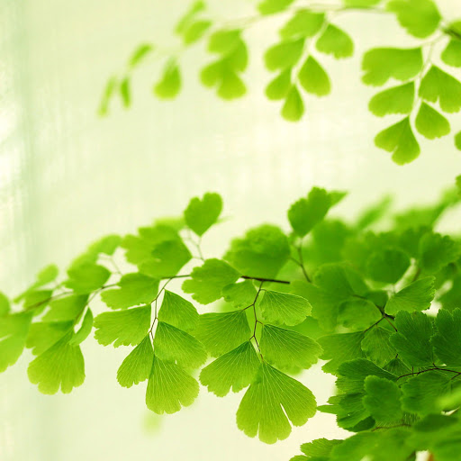 Hd-166316-ascw166316