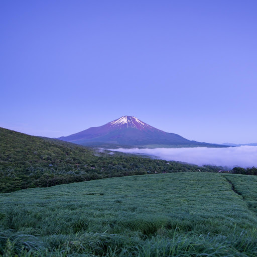 Hd-137890-ascw137890