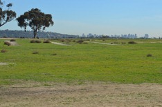 Fiesta Island Dog Park with downtown San Diego in the distance