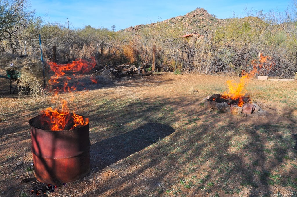 [DSC_0004%255B4%255D.jpg]