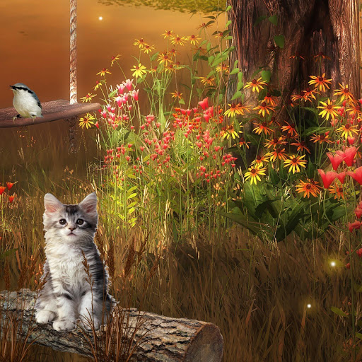 Hd-141892-ascw141892