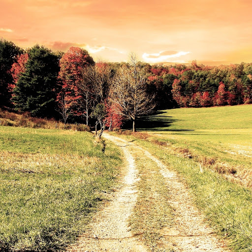 Hd-132082-ascw132082