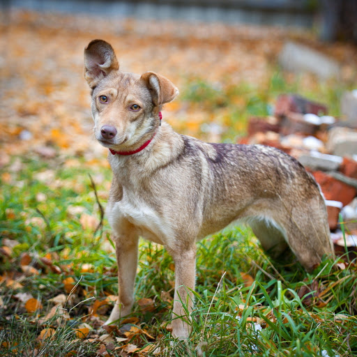 Hd-190823-ascw190823