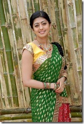 Praneetha In Saree Cut image