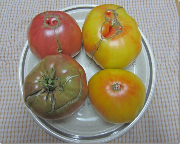 Cherokee Purple and Mr. Stripey tomatoes