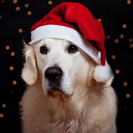 Hd-175923-ascw175923