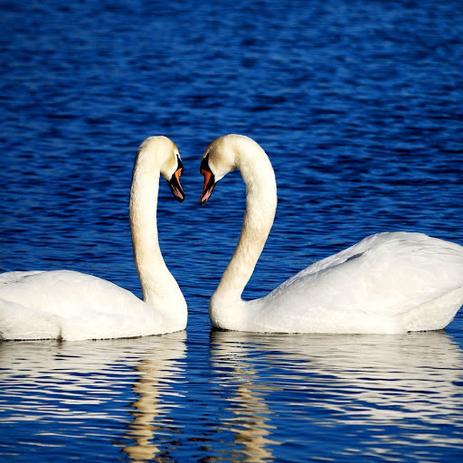 Hd-163755-ascw163755