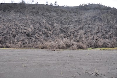 DSC_0549.jpg