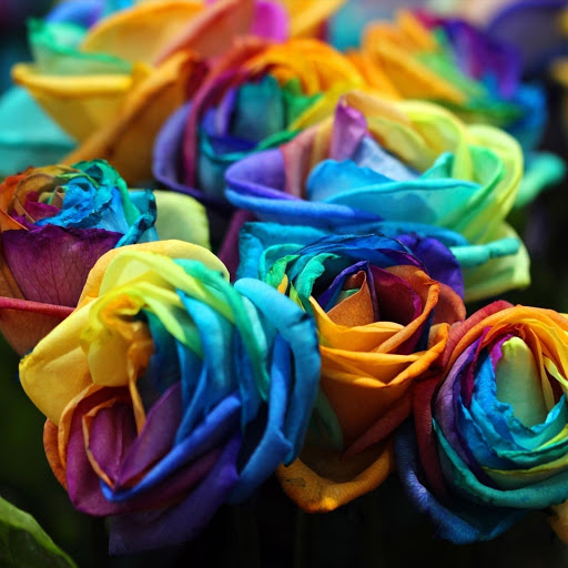 Hd-177337-ascw177337