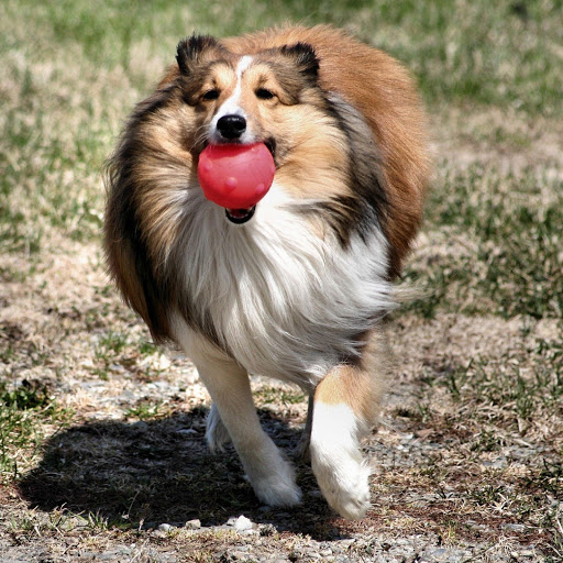 Hd-181821-ascw181821