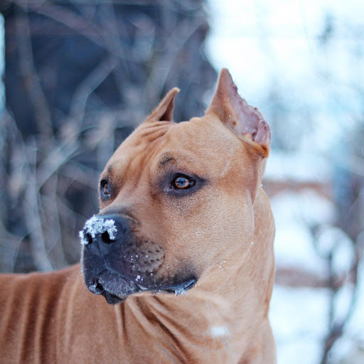 Hd-181026-ascw181026