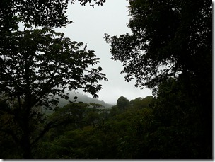 2012_02_01 09 CR Selvatura canopy walk