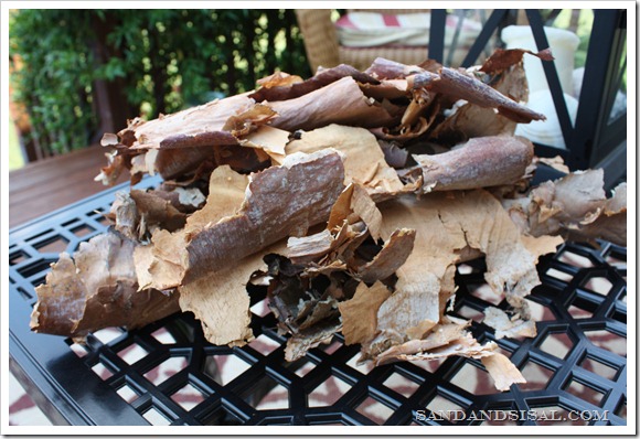 birch bark pile