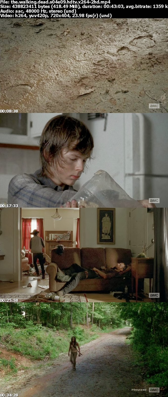 the.walking.dead.s04e09.hdtv.x264-2hd_s.