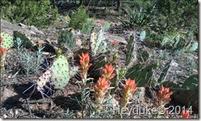 Sandia Peak Hike 044