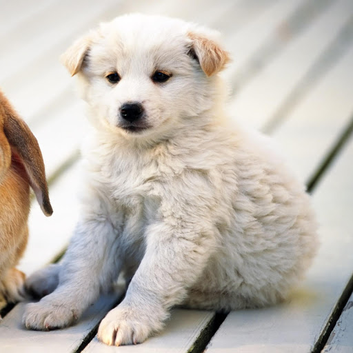 Hd-173793-ascw173793