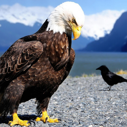 Hd-186209-ascw186209