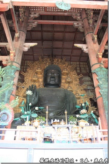 日本奈良-東大寺的正尊是「盧舎那佛」，俗稱「奈良大佛」，高15公尺以上、總重380噸，是世界最大的青銅佛像。