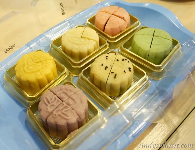 [MooCow373.jpg.webp]