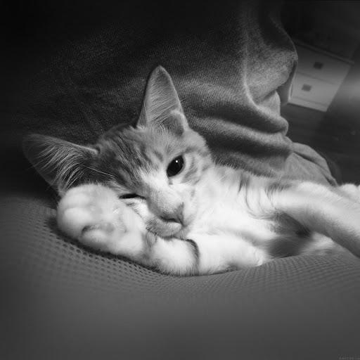 Hd-170245-ascw170245