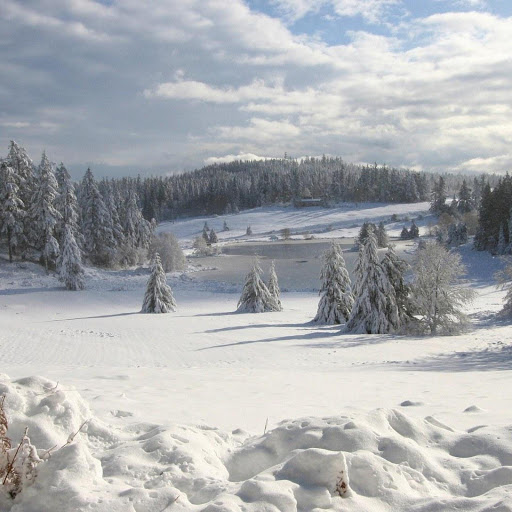 Hd-131854-ascw131854