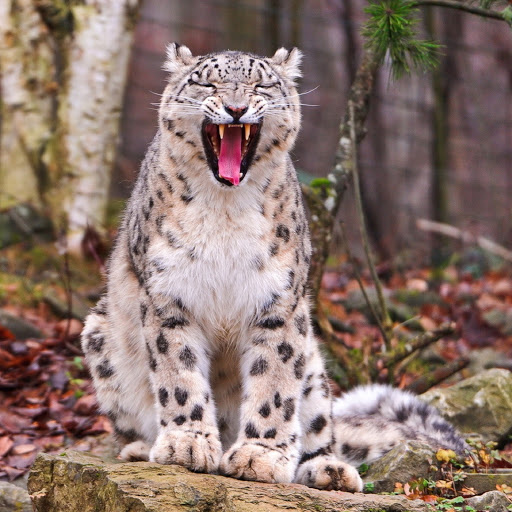 Hd-180427-ascw180427