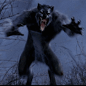 WereWolf Live Wallpaper logo