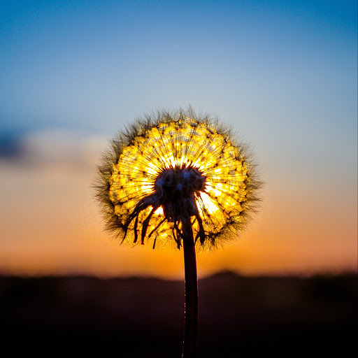 Hd-131056-ascw131056