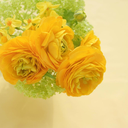 Hd-178552-ascw178552