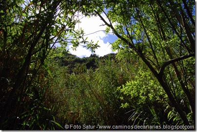5497 La Laguna-Vueltas Acero-Firgas 5497 La Laguna-Vueltas Acero-Firgas