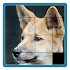 Tap Puzzle Animals1.1