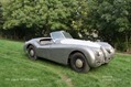 Jaguar-Coys-6