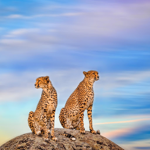 Hd-190852-ascw190852