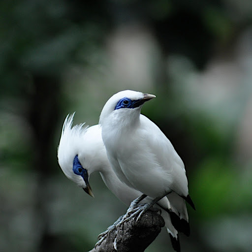 Hd-178865-ascw178865