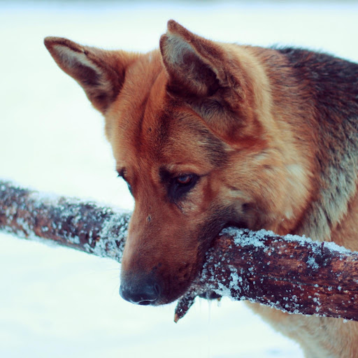 Hd-167197-ascw167197