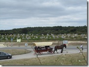 IMG_5164 IMG_5164