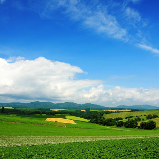 Hd-161808-ascw161808