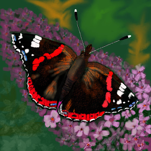 Hd-160991-ascw160991