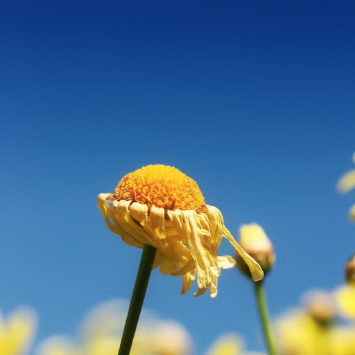 Hd-136865-ascw136865