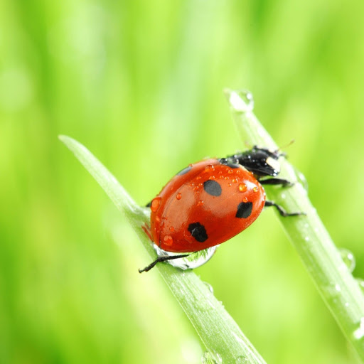 Hd-153494-ascw153494