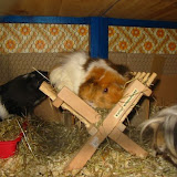 Balthasar, Sookie, Lorelai