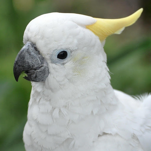 Hd-177821-ascw177821