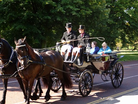 14. Hyde Park (1).JPG