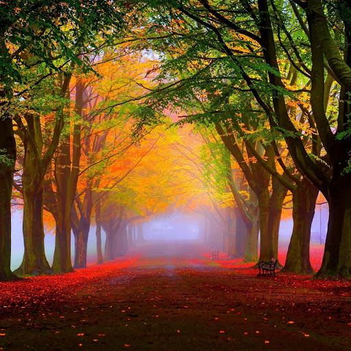 Hd-169247-ascw169247