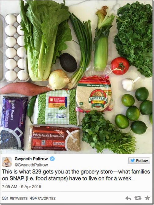 Paltrow food stamp challenge Paltrow food stamp challenge